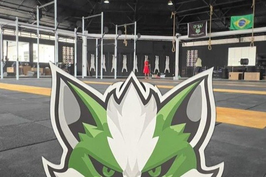 Imagem 3 da galeria do parceiro CF SAJ