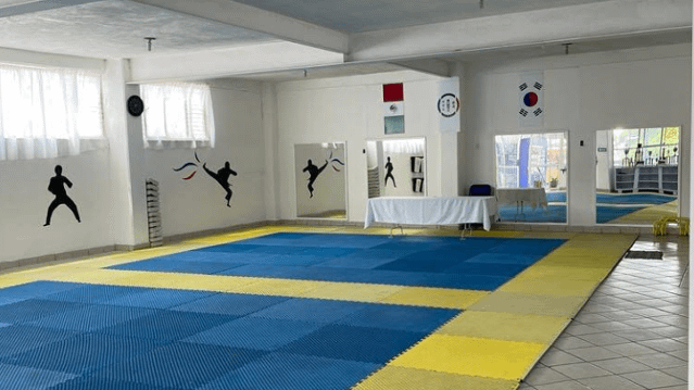 Imagen 1 de la galería del partner Tollan TKD El Carmen