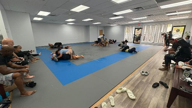 Image 1 from Silver Fox BJJ-561 partner gallery