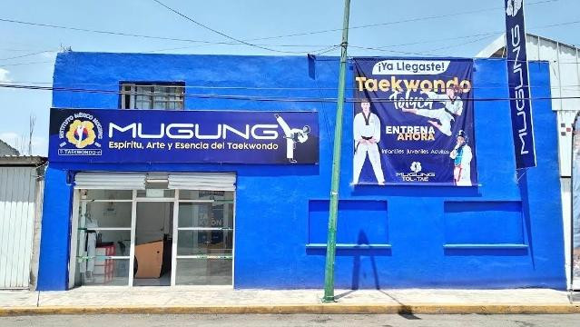 Imagen 2 de la galería del partner Mugung Taekwondo Toluca