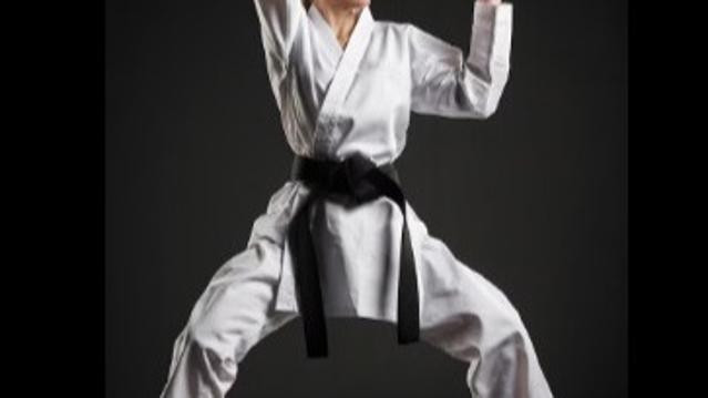 Image 3 from Kessler Karate Academy partner gallery