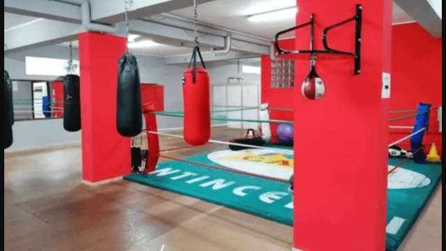 Immagine 1 dalla galleria del partner AMARANTO BOXE