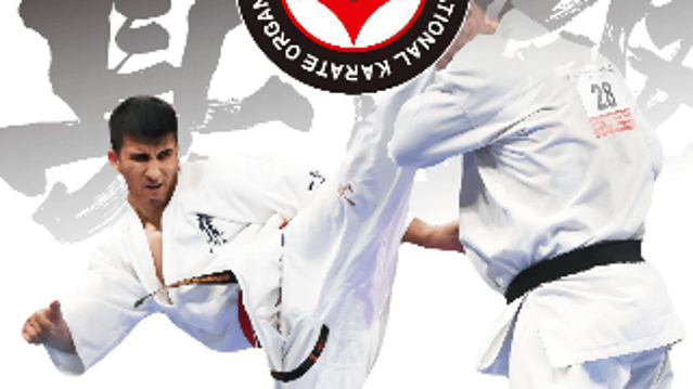 Bild 3 von Navid Dojo - Navid Nazar Partnergalerie