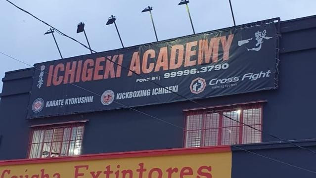 Imagem 2 da galeria do parceiro Ichigeki Academy
