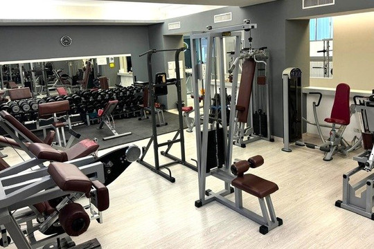 Immagine 1 dalla galleria del partner La Palestra Ssd