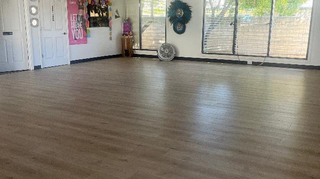 Image 1 from Ultra Dance with Ana partner gallery