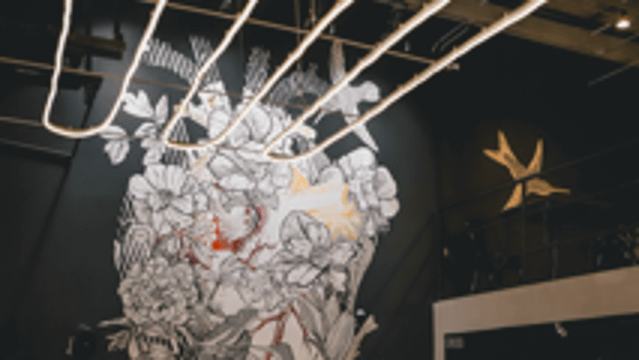 Imagen 1 de la galería del partner Commando - Pedregal