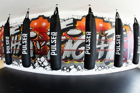 Imagem 2 da galeria do parceiro THAI FIGHT CAMPINAS