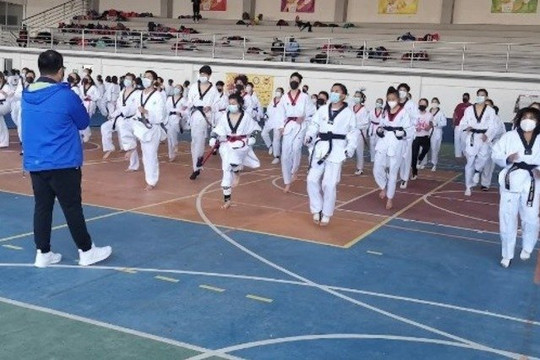Imagen 2 de la galería del partner Instituto Tollan De Tae Kwon Do Vital Sport