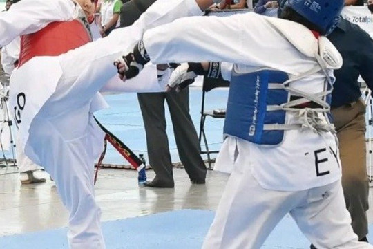 Imagen 3 de la galería del partner Instituto Tollan De Tae Kwon Do Vital Sport