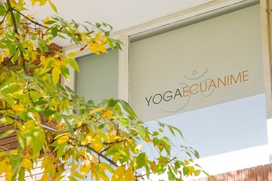 Imagen 2 de la galería del partner Yoga Ecuanime