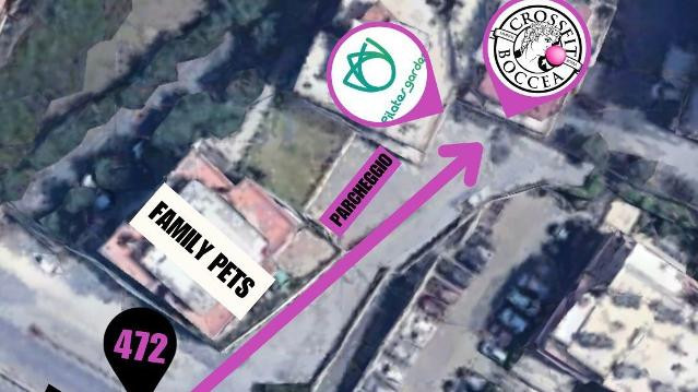 Immagine 2 dalla galleria del partner Crossfit Boccea