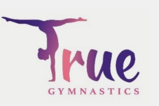 Imagen 1 de la galería del partner True Gimnastics