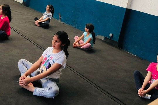 Imagen 2 de la galería del partner True Gimnastics