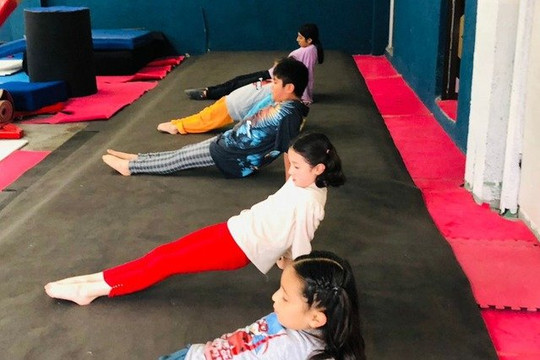 Imagen 3 de la galería del partner True Gimnastics