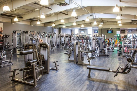 Bild 1 von Just Fit 11 Light Partnergalerie