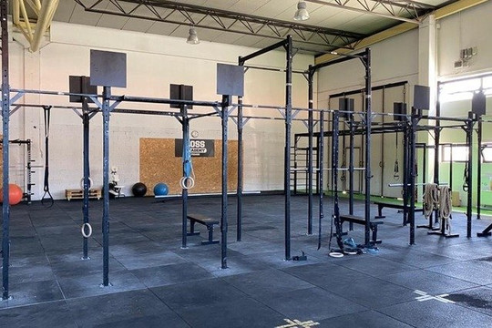 Immagine 1 dalla galleria del partner Pisaurum Body Lab