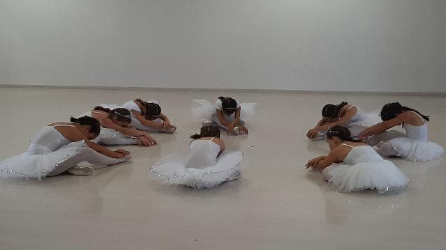 Immagine 1 dalla galleria del partner Antonella Dance School