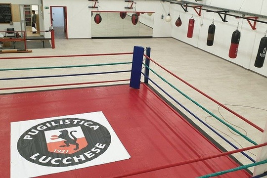 Immagine 1 dalla galleria del partner Asd S.P Pugilistica Lucchese