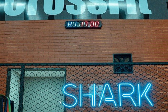 Imagem 6 da galeria do parceiro Shark CrossFit