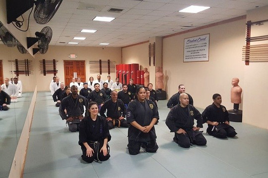 Image 1 from Heijoshin Dojo partner gallery