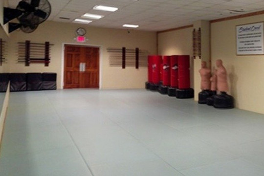 Image 3 from Heijoshin Dojo partner gallery