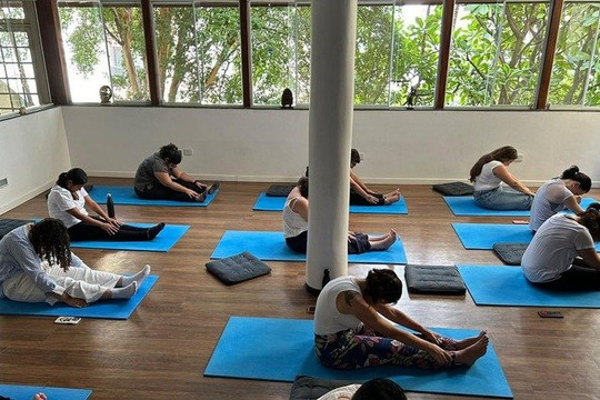 Imagem 1 da galeria do parceiro Sivananda Yoga Sumaré