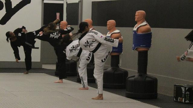 Image 1 from Victory Taekwondo Academy partner gallery