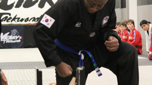 Image 3 from Victory Taekwondo Academy partner gallery