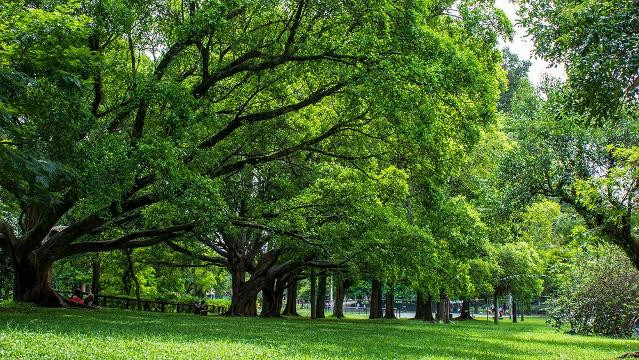 Imagem 2 da galeria do parceiro Parque Ribeirinho Oriente