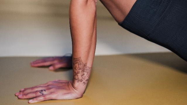 Bild 1 von Pilarobic Partnergalerie