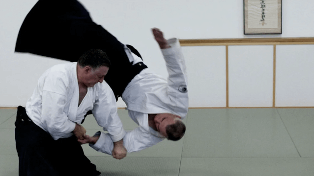 Image 1 from Toronto Aikikai partner gallery