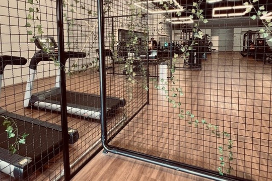 Imagem 1 da galeria do parceiro Base Fitness