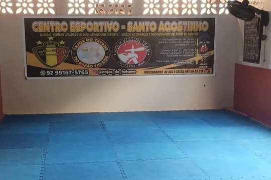 Imagem 1 da galeria do parceiro IESAT-Anjos do Tatame