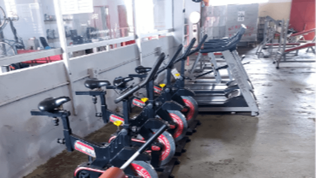 Imagem 2 da galeria do parceiro Harmonia Oriental