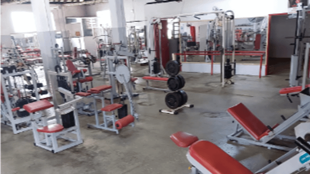 Imagem 1 da galeria do parceiro Harmonia Oriental