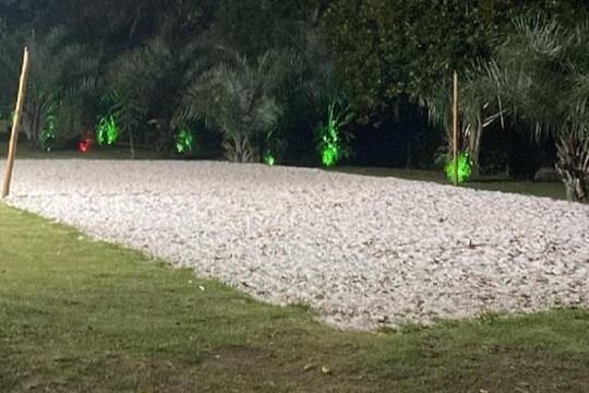 Imagem 2 da galeria do parceiro CT CJZ Futevôlei - Reserva Parque Residencial