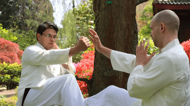 Bild 1 von Dao Kuen Wing Tjun Partnergalerie