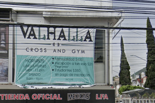 Imagen 2 de la galería del partner Valhalla cross and gym