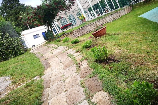 Immagine 2 dalla galleria del partner Sport Shuttle 3.0