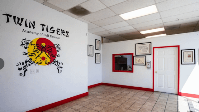 Image 1 from Twin Tigers Academy partner gallery