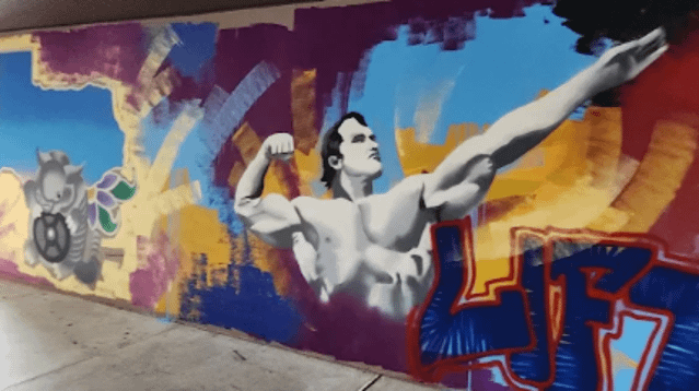 Image 3 from Iron Forge Gym partner gallery