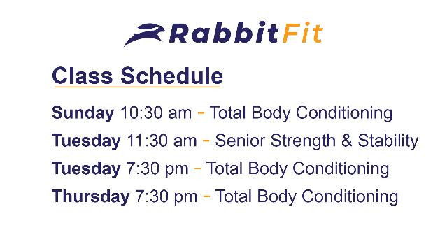 Image 3 from Rabbit Fit - Personal Training partner gallery