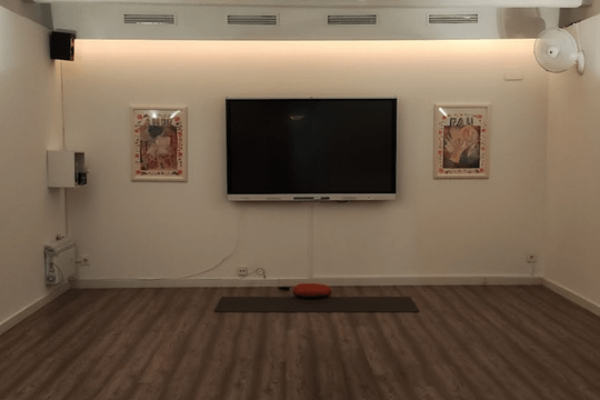 Imagen 1 de la galería del partner Adaptic Yoga