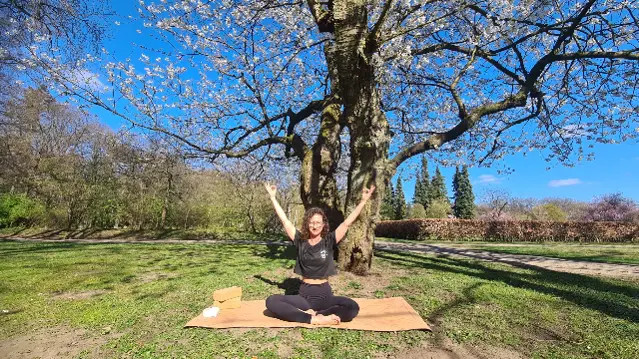 Bild 1 von Outdoor-Yoga mit Yogalessa Partnergalerie