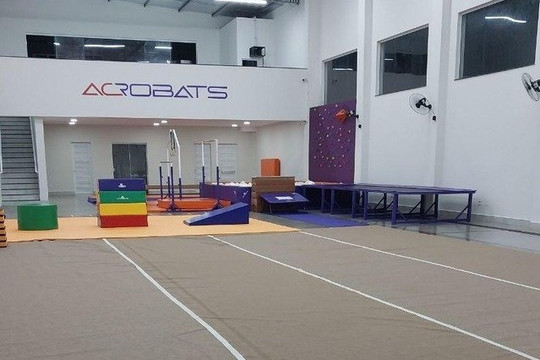 Imagem 2 da galeria do parceiro Acrobats - Ginástica Rítmica e Artística