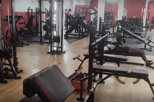 Imagem 1 da galeria do parceiro Bio Life