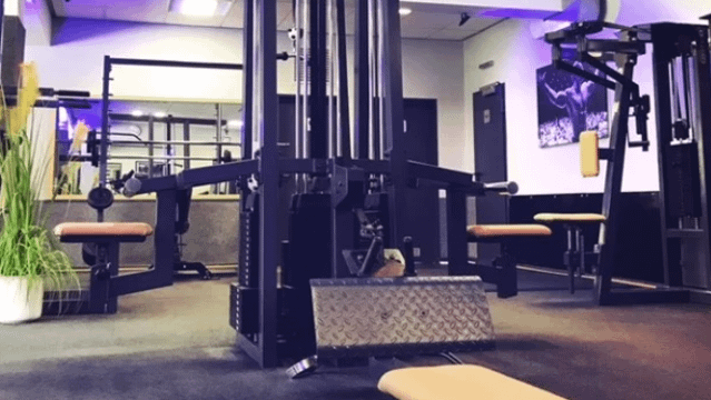 Imagem 2 da galeria do parceiro Fitness-Sport- Neugebauer