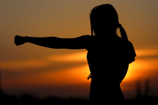 Immagine 1 dalla galleria del partner Hung Gar Team Via Ivrea