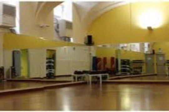 Immagine 3 dalla galleria del partner Ace Palestre